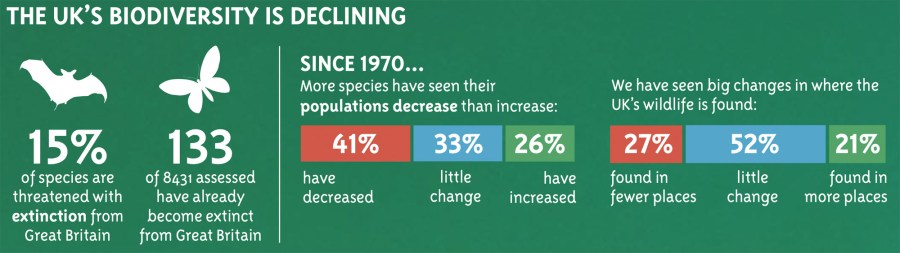 UK Biodiversity Declining